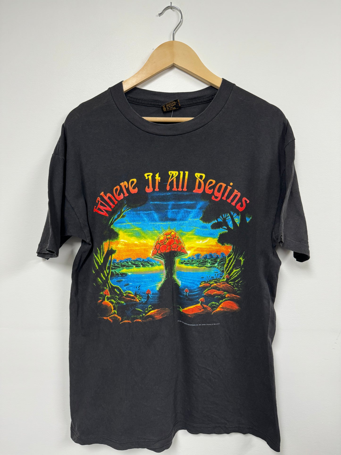 Allman Brothers Band Tee 1990 Tour (L)